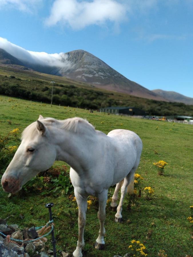 Elmgrove Apartment , Croagh Patrick Westport Exterior foto